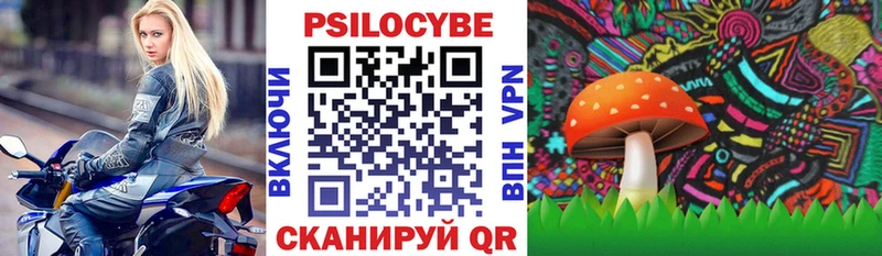 Псилоцибиновые грибы MAGIC MUSHROOMS  Купить где  Сычёвка 